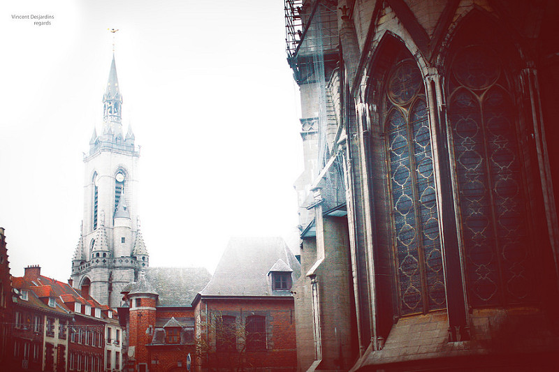 トゥルネーのノートル・ダム大聖堂の画像4