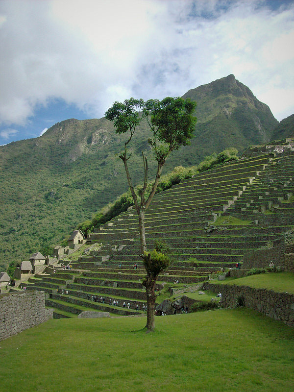 マチュ・ピチュの歴史保護区の画像10