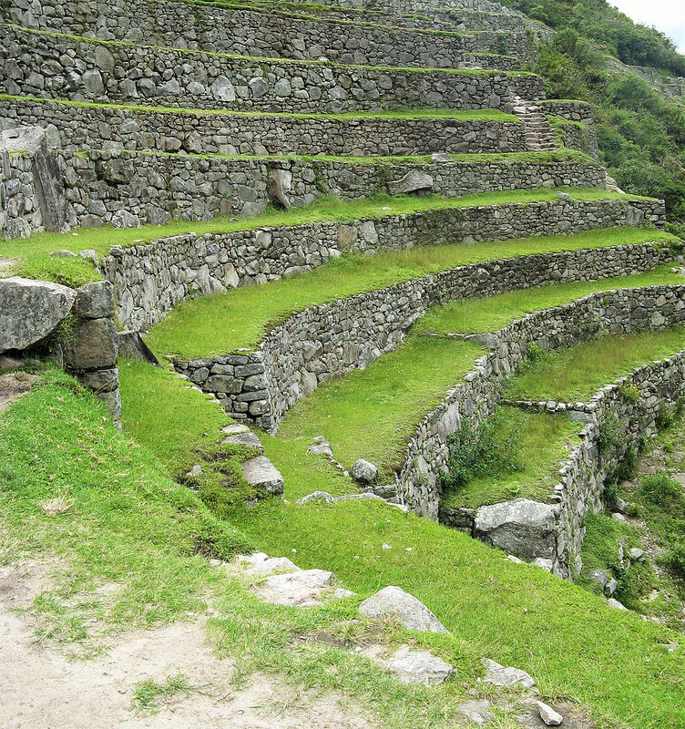 マチュ・ピチュの歴史保護区の画像29