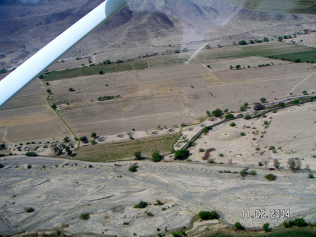 ナスカとパルパの地上絵の画像4