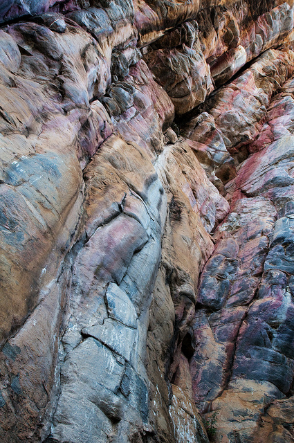 ツォディロ　の画像4