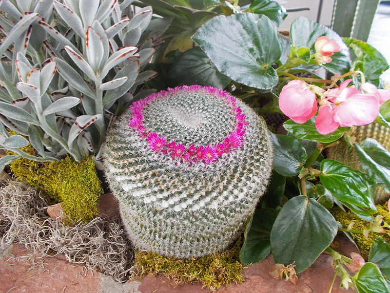 ポトシ市街の画像16