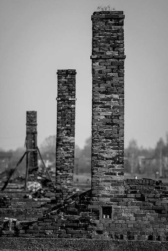 アウシュヴィッツ・ビルケナウ　ナチスドイツの強制絶滅収容所（1940-1945）の画像7