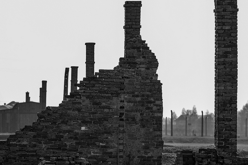 アウシュヴィッツ・ビルケナウ　ナチスドイツの強制絶滅収容所（1940-1945）の画像8