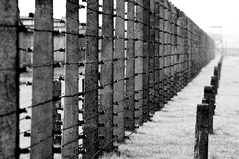 アウシュヴィッツ・ビルケナウ　ナチスドイツの強制絶滅収容所（1940-1945）の画像11