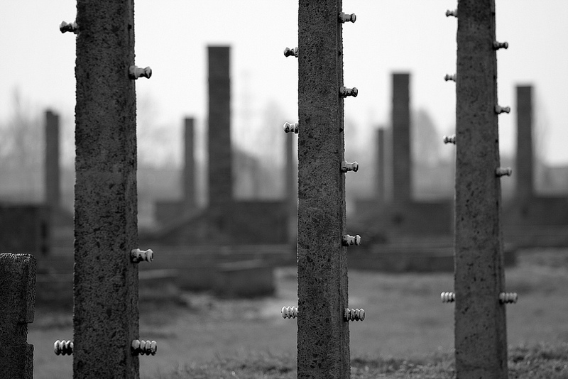 アウシュヴィッツ・ビルケナウ　ナチスドイツの強制絶滅収容所（1940-1945）の画像12