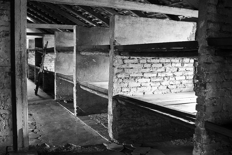 アウシュヴィッツ・ビルケナウ　ナチスドイツの強制絶滅収容所（1940-1945）の画像18