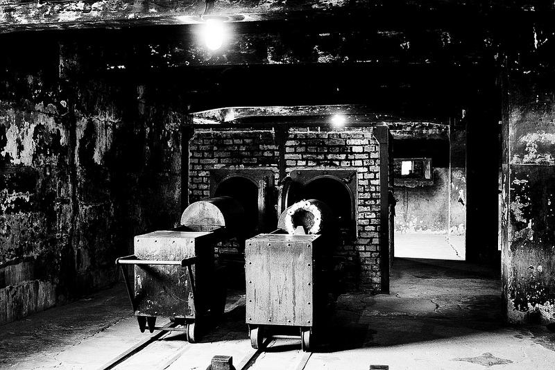 アウシュヴィッツ・ビルケナウ　ナチスドイツの強制絶滅収容所（1940-1945）の画像21