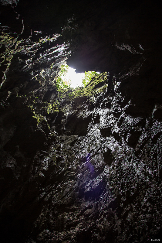 グヌン・ムル国立公園の画像4