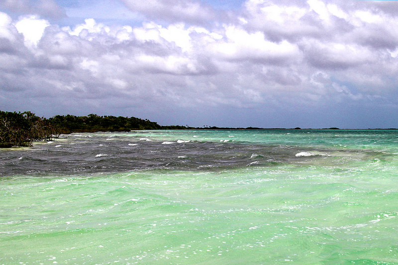 シアン・カアンの画像7