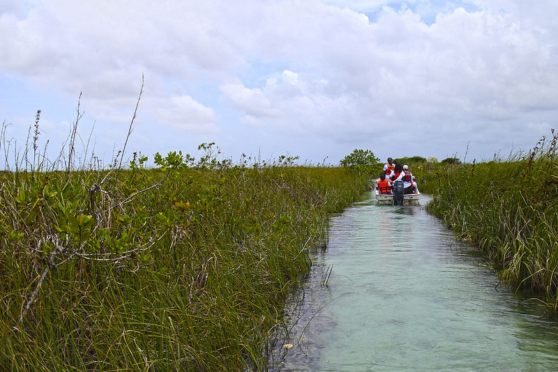 シアン・カアンの画像16
