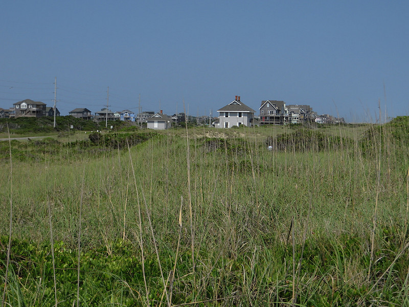 カリフォルニア湾の島々と保護地域群の画像4