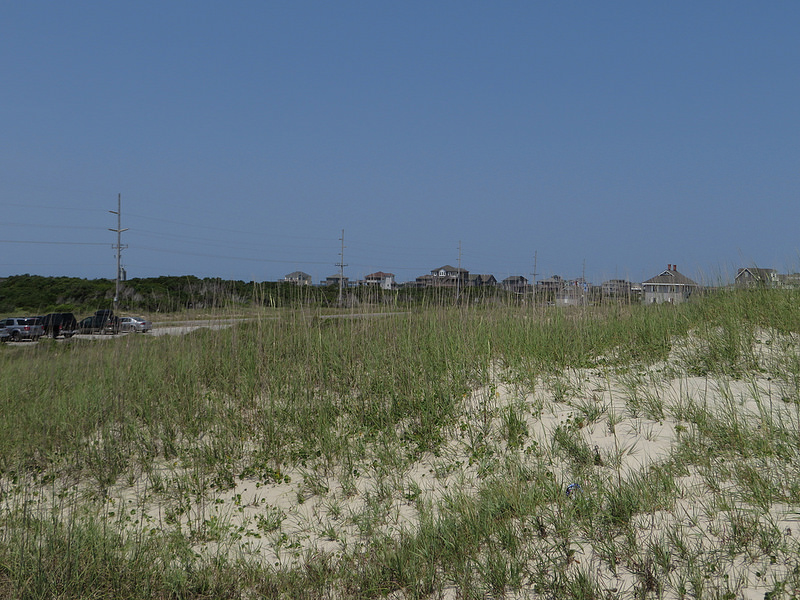 カリフォルニア湾の島々と保護地域群の画像5