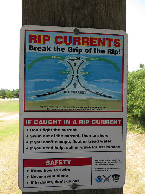 カリフォルニア湾の島々と保護地域群の画像9