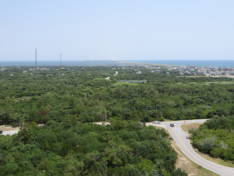 カリフォルニア湾の島々と保護地域群の画像11