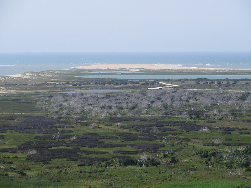 カリフォルニア湾の島々と保護地域群の画像12