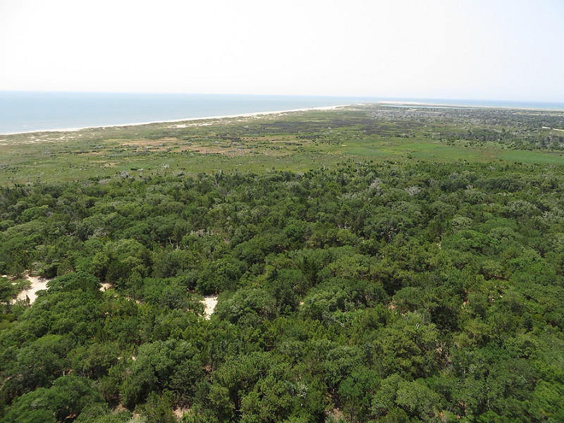 カリフォルニア湾の島々と保護地域群の画像15