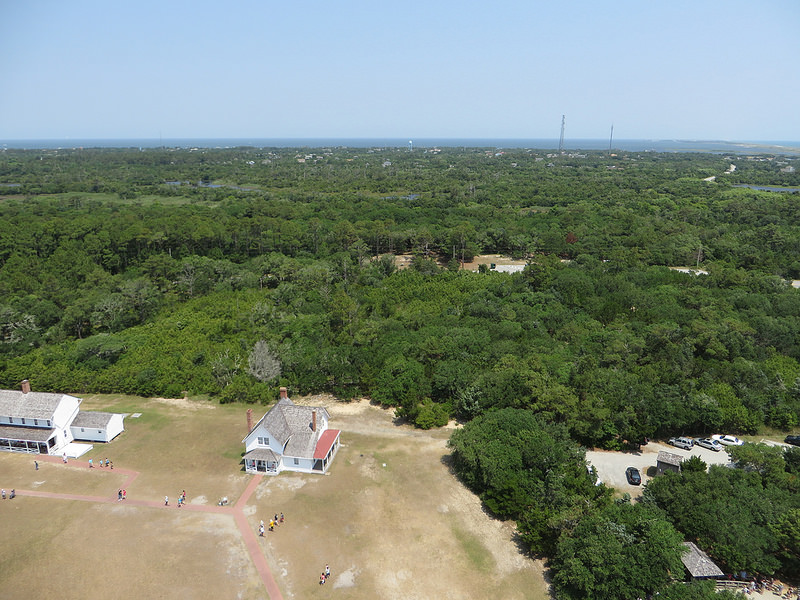 カリフォルニア湾の島々と保護地域群の画像17