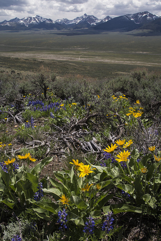 ティエラアデントロの王の道の画像9