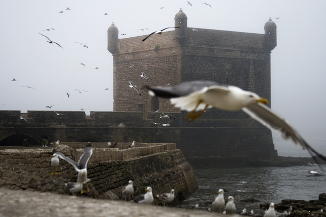 エッサウィラのメディナ（旧名モガドール）の画像10