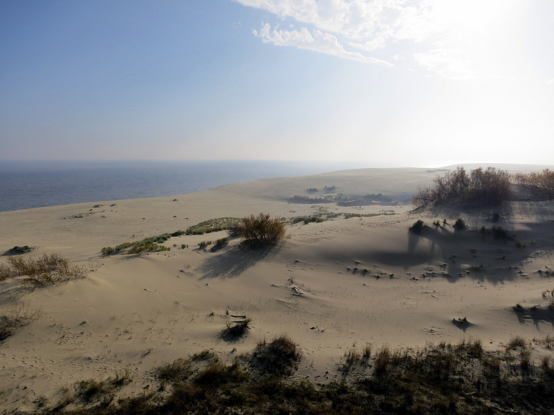 クルシュー砂州の画像13