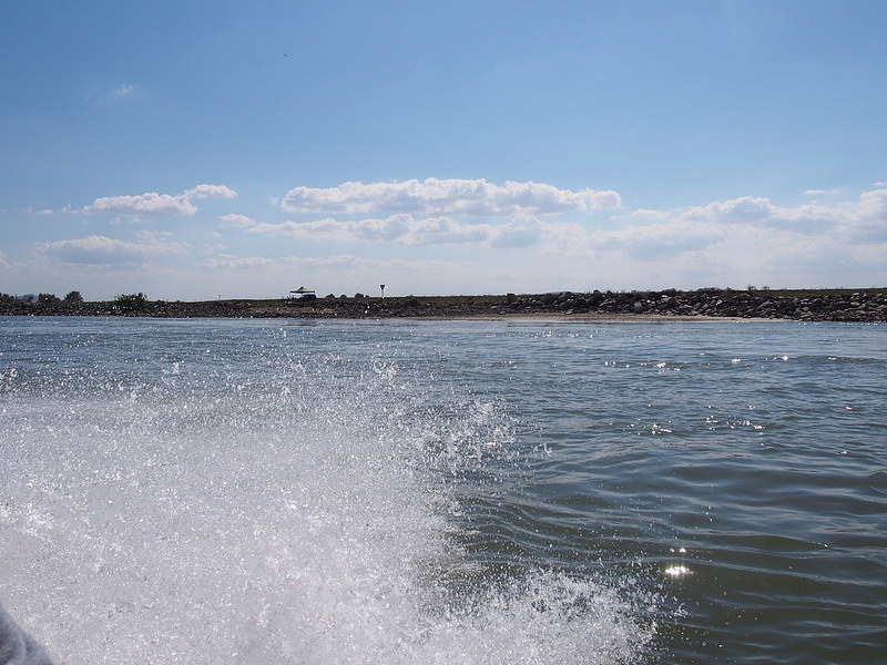 ドナウ・デルタの画像10