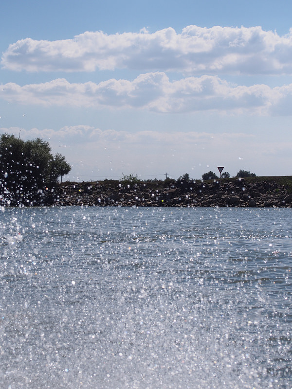 ドナウ・デルタの画像11