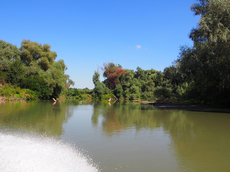 ドナウ・デルタの画像15