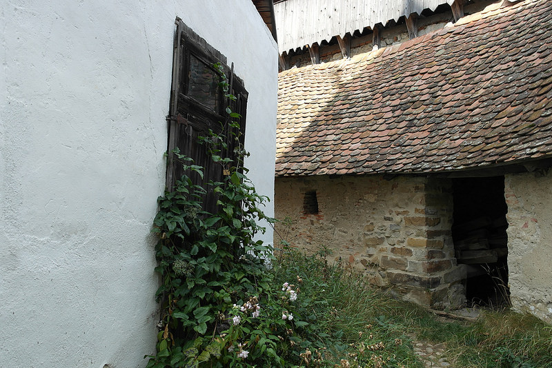 トランシルヴァニア地方の要塞教会群のある集落の画像13