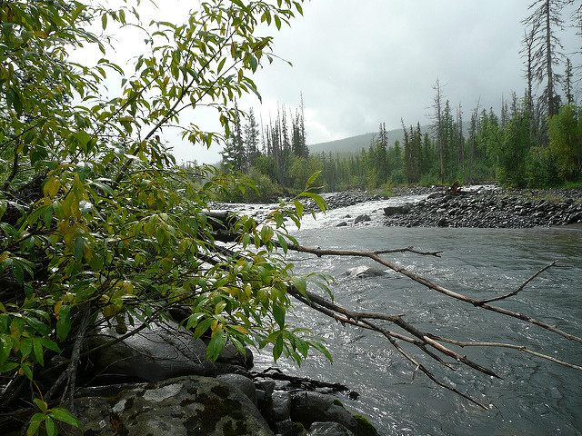 プトラナ高原の画像6