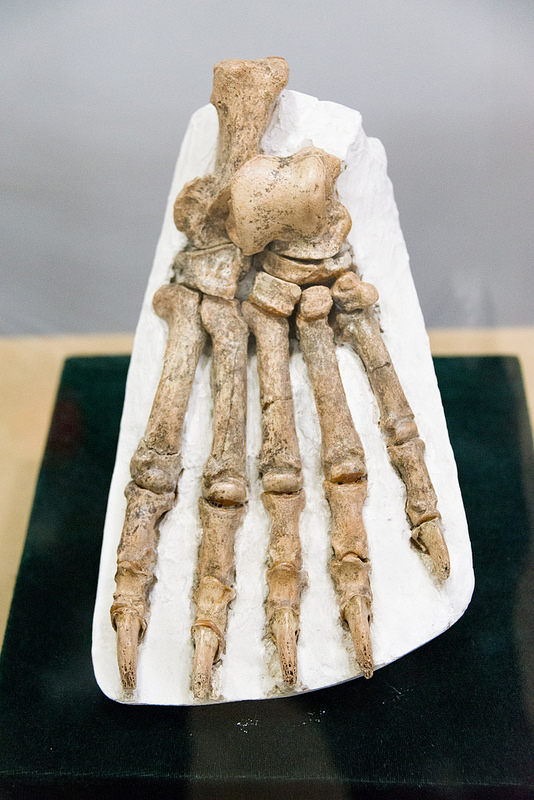 北京原人化石出土の周口店遺跡の画像23