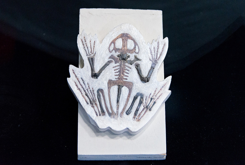 北京原人化石出土の周口店遺跡の画像25