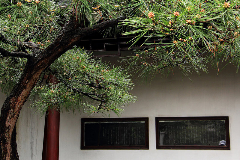 蘇州古典園林の画像5