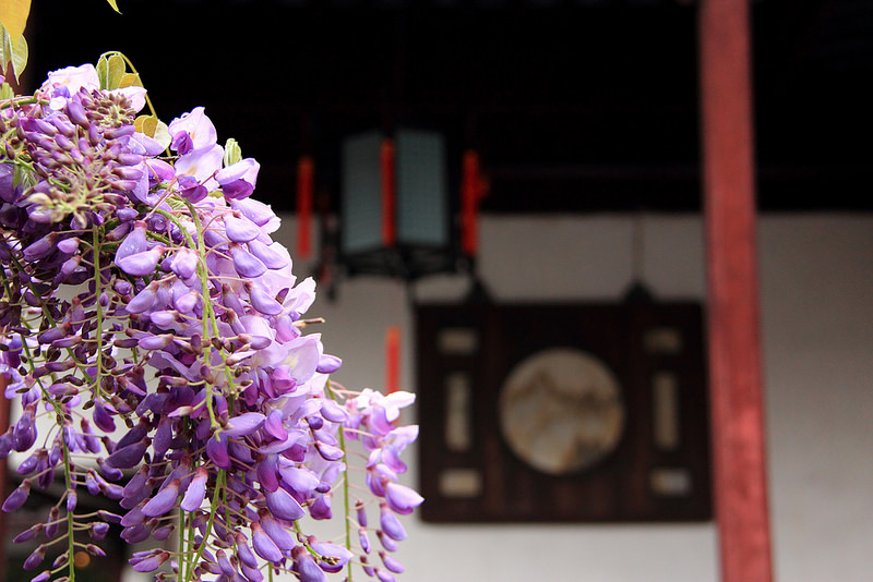 蘇州古典園林の画像7