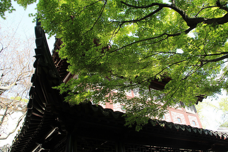 蘇州古典園林の画像15
