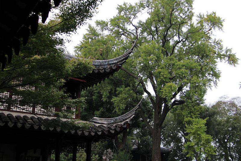蘇州古典園林の画像25
