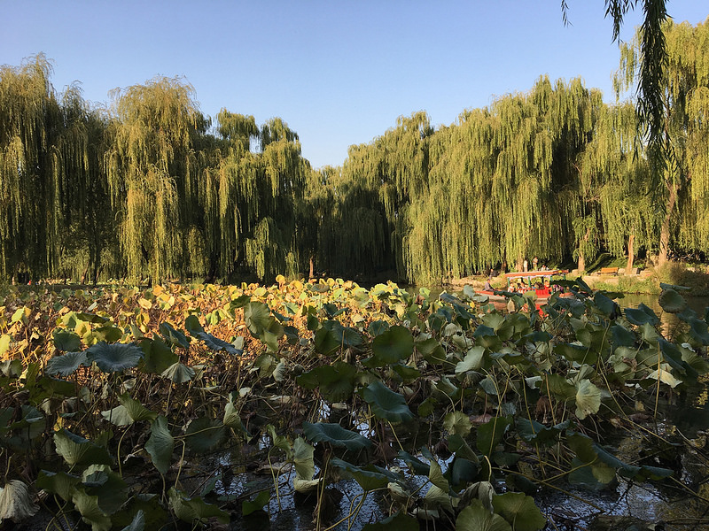 頤和園、北京の皇帝の庭園の画像11