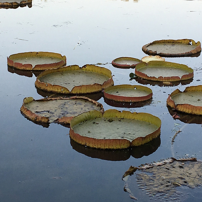 頤和園、北京の皇帝の庭園の画像13