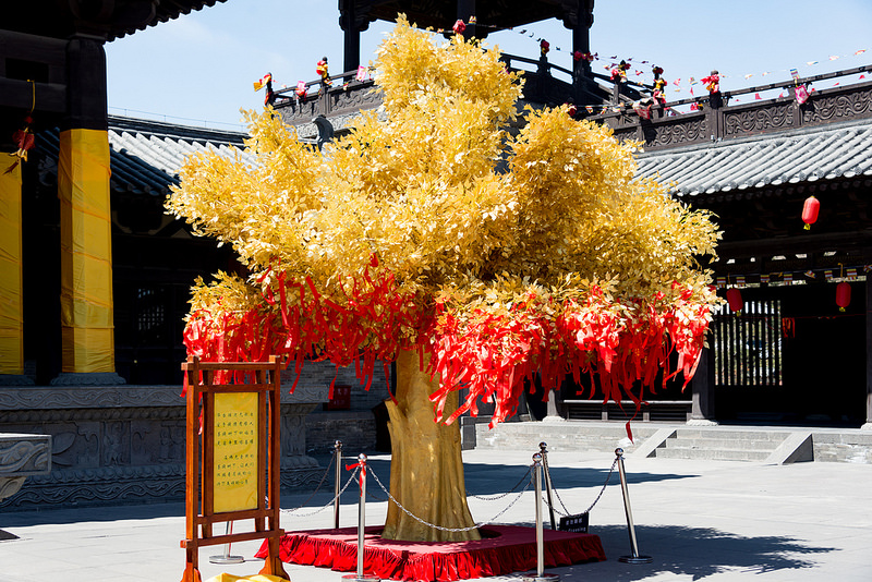 雲崗石窟の画像12