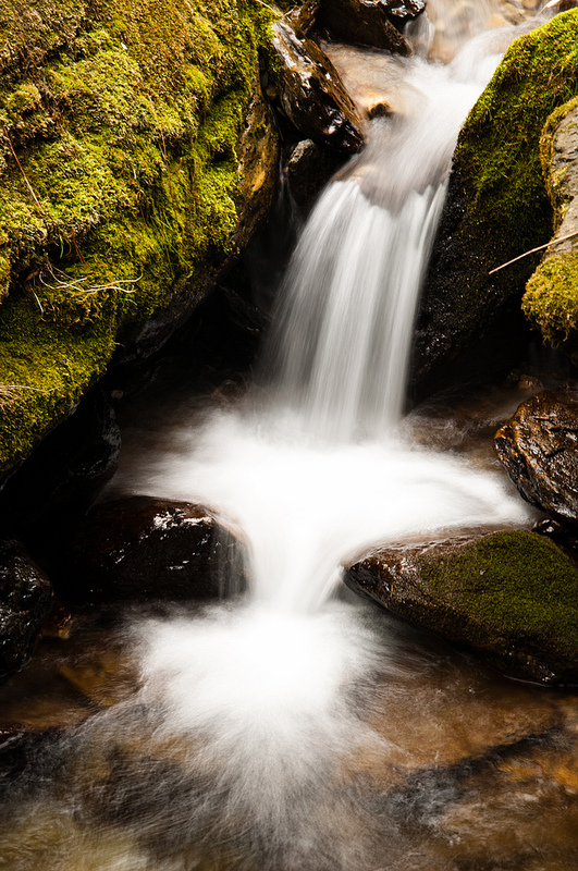 湖北省の神農架の画像1