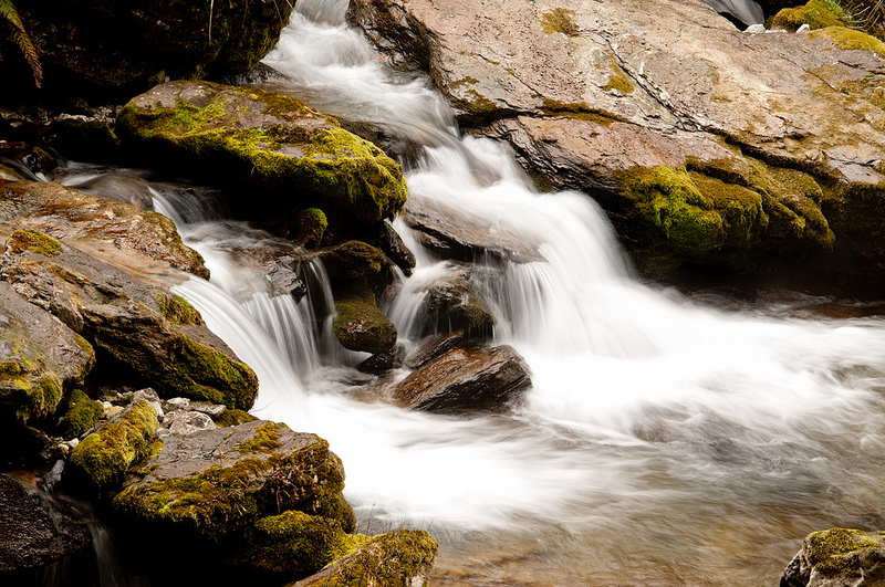 湖北省の神農架の画像2