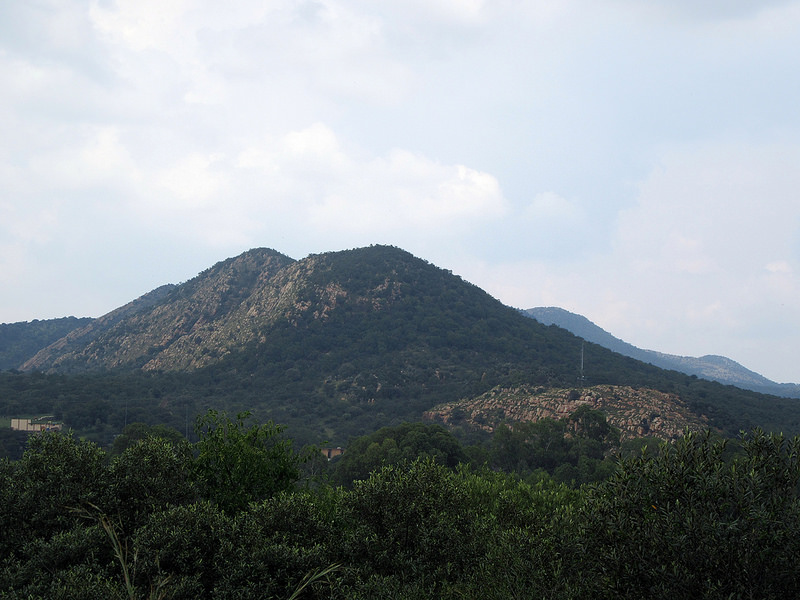 フレーデフォート・ドームの画像1