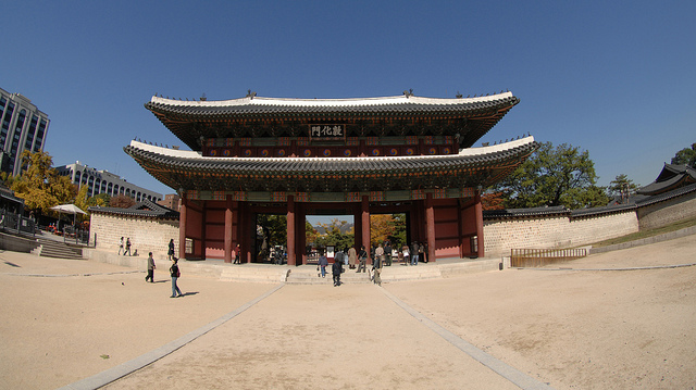 昌徳宮の画像24