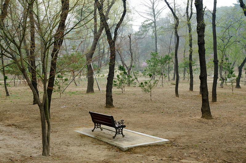 朝鮮王朝の王墓群の画像24