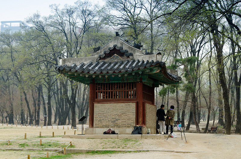 朝鮮王朝の王墓群の画像26