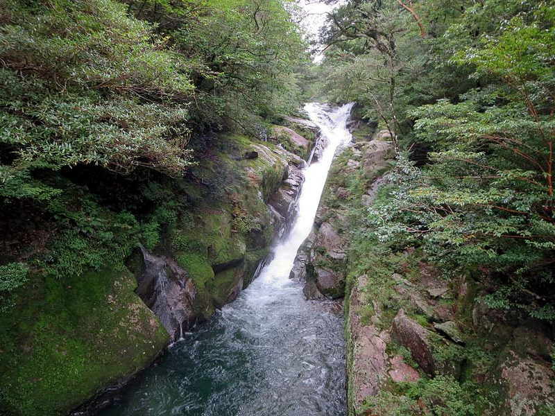 屋久島の画像16