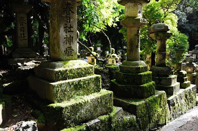 古都奈良の文化財の画像19