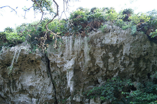 琉球王国のグスク及び関連遺産群の画像8