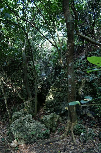 琉球王国のグスク及び関連遺産群の画像12