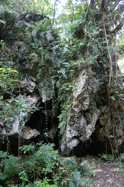 琉球王国のグスク及び関連遺産群の画像17